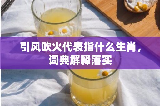 引风吹火代表指什么生肖，词典解释落实