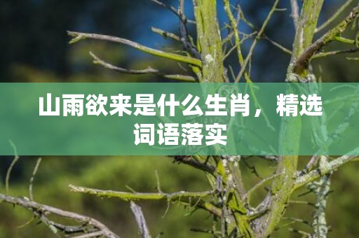 山雨欲来是什么生肖，精选词语落实