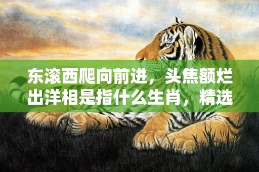 东滚西爬向前进，头焦额烂出洋相是指什么生肖，精选解释落实