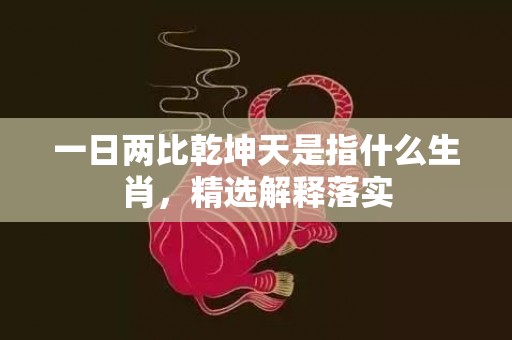 一日两比乾坤天是指什么生肖，精选解释落实