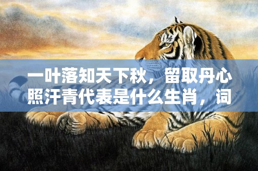 一叶落知天下秋，留取丹心照汗青代表是什么生肖，词语解答落实