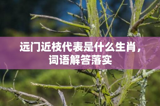 远门近枝代表是什么生肖，词语解答落实