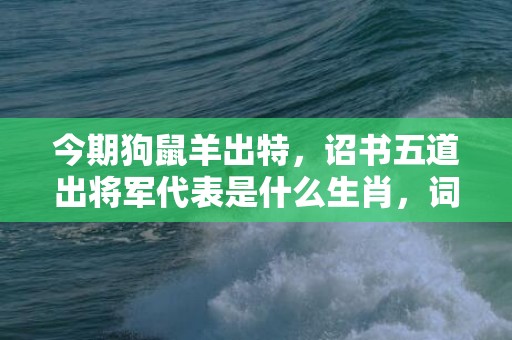 今期狗鼠羊出特，诏书五道出将军代表是什么生肖，词语解答落实
