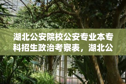 湖北公安院校公安专业本专科招生政治考察表，湖北公安院校公安专业招生考察表(附下载入口)