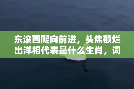 东滚西爬向前进，头焦额烂出洋相代表是什么生肖，词语解答落实