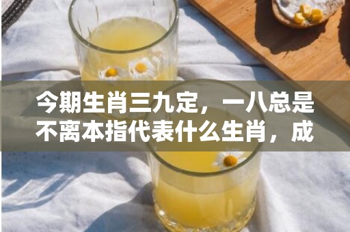 今期生肖三九定，一八总是不离本指代表什么生肖，成语解释落实