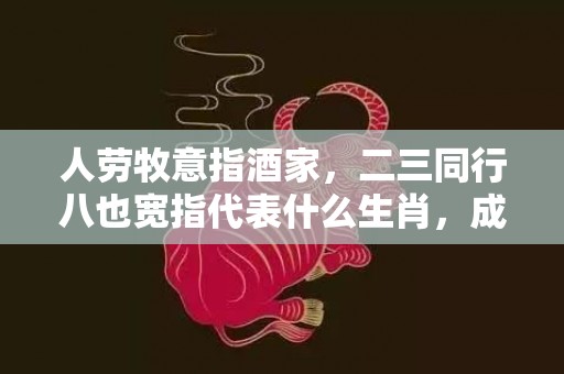 人劳牧意指酒家，二三同行八也宽指代表什么生肖，成语解释落实