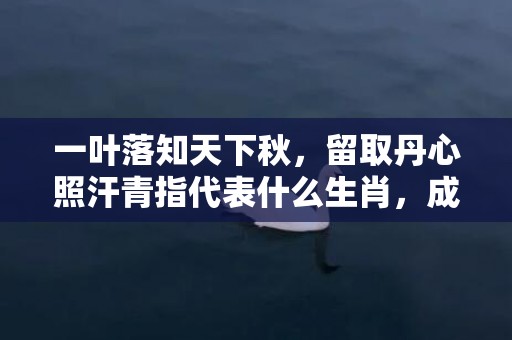 一叶落知天下秋，留取丹心照汗青指代表什么生肖，成语解释落实