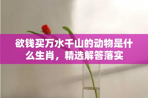 欲钱买万水千山的动物是什么生肖，精选解答落实