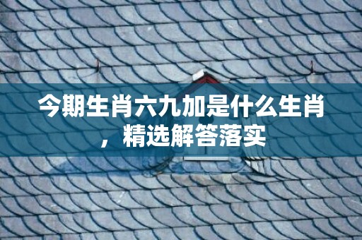 今期生肖六九加是什么生肖，精选解答落实