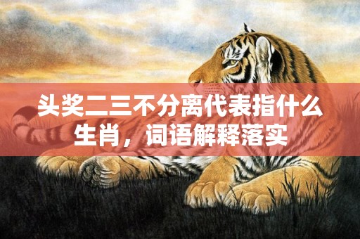 头奖二三不分离代表指什么生肖，词语解释落实