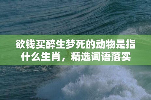 欲钱买醉生梦死的动物是指什么生肖，精选词语落实