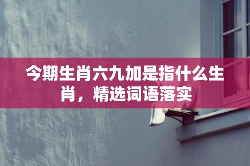今期生肖六九加是指什么生肖，精选词语落实