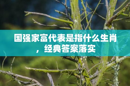 国强家富代表是指什么生肖，经典答案落实