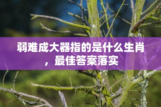 弱难成大器指的是什么生肖，最佳答案落实