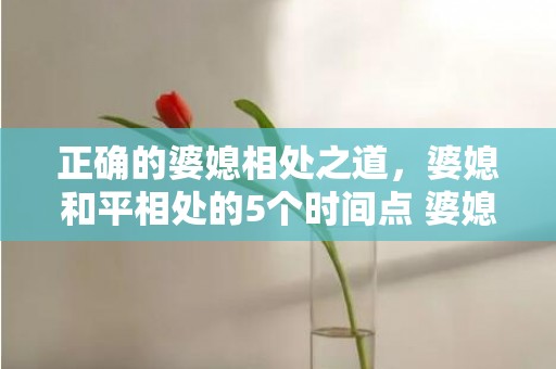 正确的婆媳相处之道，婆媳和平相处的5个时间点 婆媳之间最好的相处方式