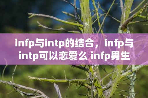 infp与intp的结合，infp与intp可以恋爱么 infp男生专一吗