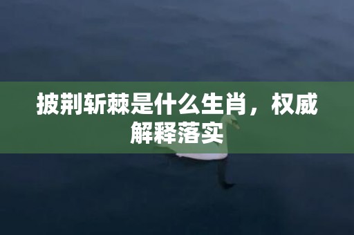 披荆斩棘是什么生肖，权威解释落实