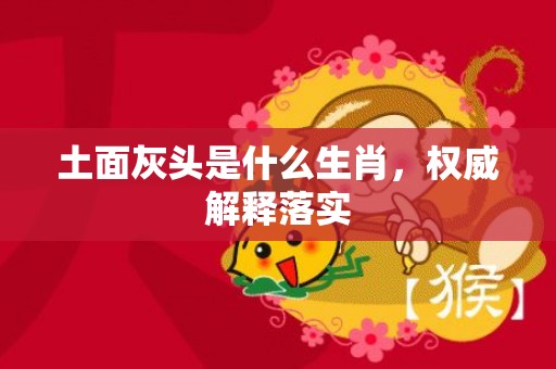 土面灰头是什么生肖，权威解释落实