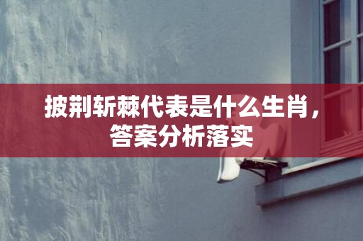 披荆斩棘代表是什么生肖，答案分析落实