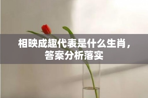 相映成趣代表是什么生肖，答案分析落实