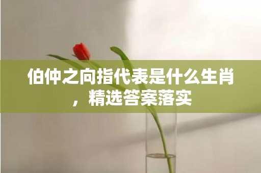 伯仲之向指代表是什么生肖，精选答案落实