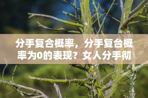 分手复合概率，分手复台概率为0的表现？女人分手彻底结束的表现