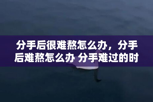 分手后很难熬怎么办，分手后难熬怎么办 分手难过的时候都怎么度过呀