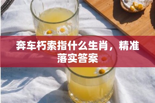 奔车朽索指什么生肖，精准落实答案
