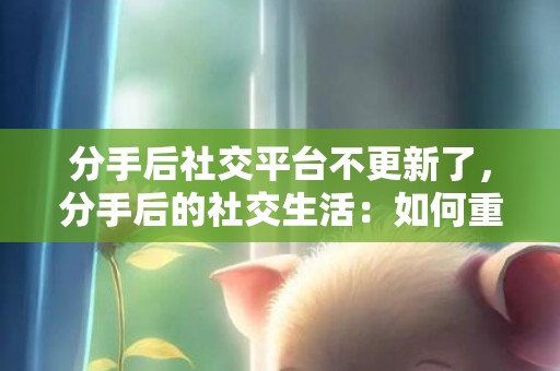 分手后社交平台不更新了，分手后的社交生活：如何重新开始交往 分手后如何相处
