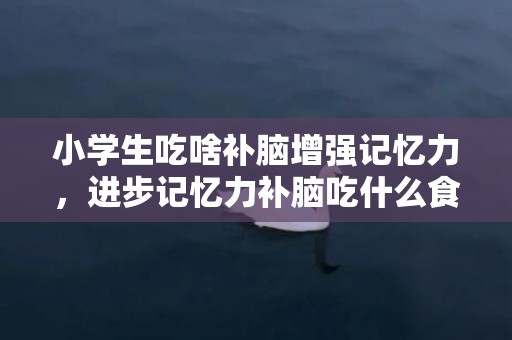 小学生吃啥补脑增强记忆力，进步记忆力补脑吃什么食品 进步记忆力程度有什么技能
