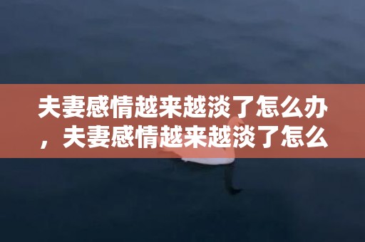 夫妻感情越来越淡了怎么办，夫妻感情越来越淡了怎么办，和老公关系越来越疏远怎么办