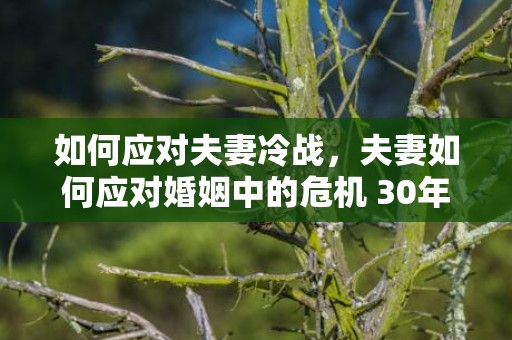如何应对夫妻冷战，夫妻如何应对婚姻中的危机 30年的婚姻危机
