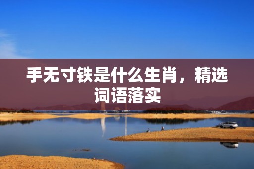 手无寸铁是什么生肖，精选词语落实