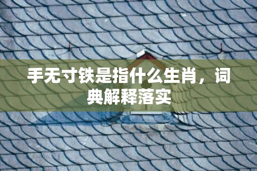 手无寸铁是指什么生肖，词典解释落实