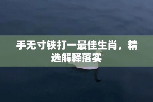 手无寸铁打一最佳生肖，精选解释落实