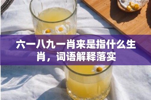 六一八九一肖来是指什么生肖，词语解释落实