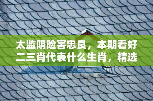 太监阴险害忠良，本期看好二三肖代表什么生肖，精选作答落实