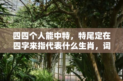 四四个人能中特，特尾定在四字来指代表什么生肖，词语精选落实