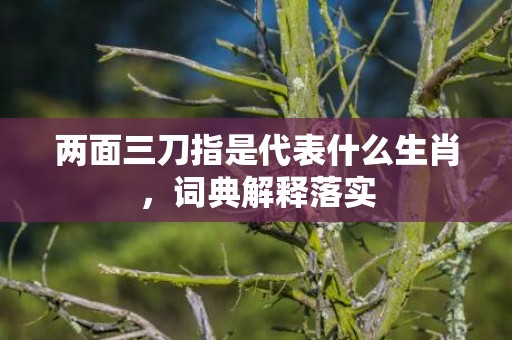 两面三刀指是代表什么生肖，词典解释落实