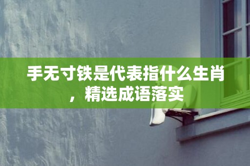 手无寸铁是代表指什么生肖，精选成语落实