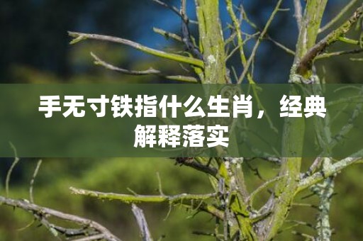 手无寸铁指什么生肖，经典解释落实