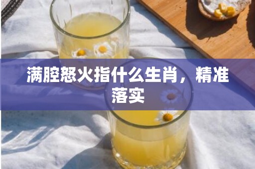 满腔怒火指什么生肖，精准落实