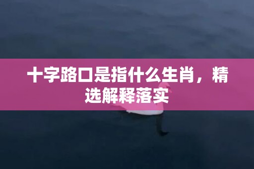 十字路口是指什么生肖，精选解释落实