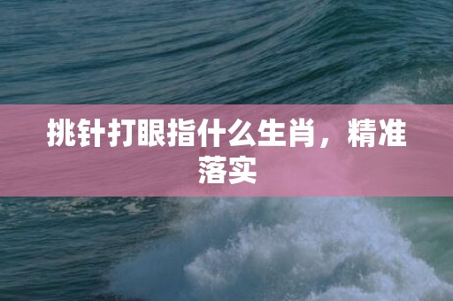挑针打眼指什么生肖，精准落实