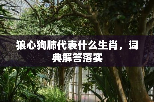 狼心狗肺代表什么生肖，词典解答落实