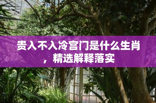 贵入不入冷宫门是什么生肖，精选解释落实