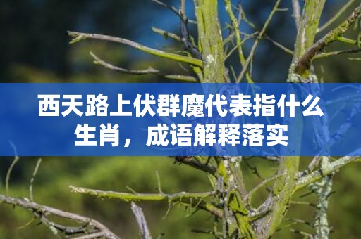 西天路上伏群魔代表指什么生肖，成语解释落实