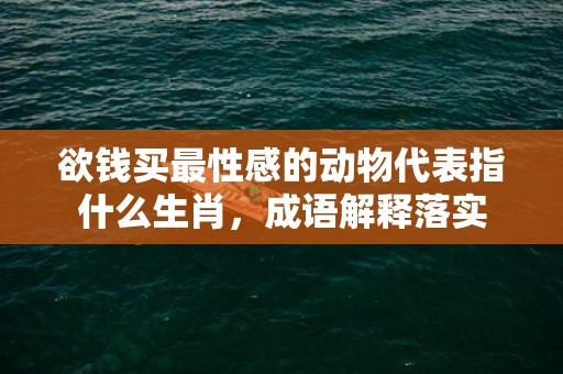 欲钱买最性感的动物代表指什么生肖，成语解释落实
