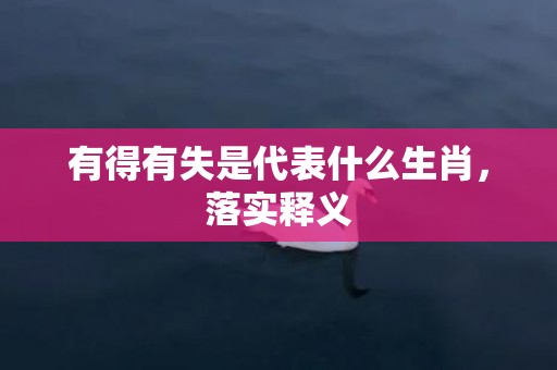 有得有失是代表什么生肖，落实释义